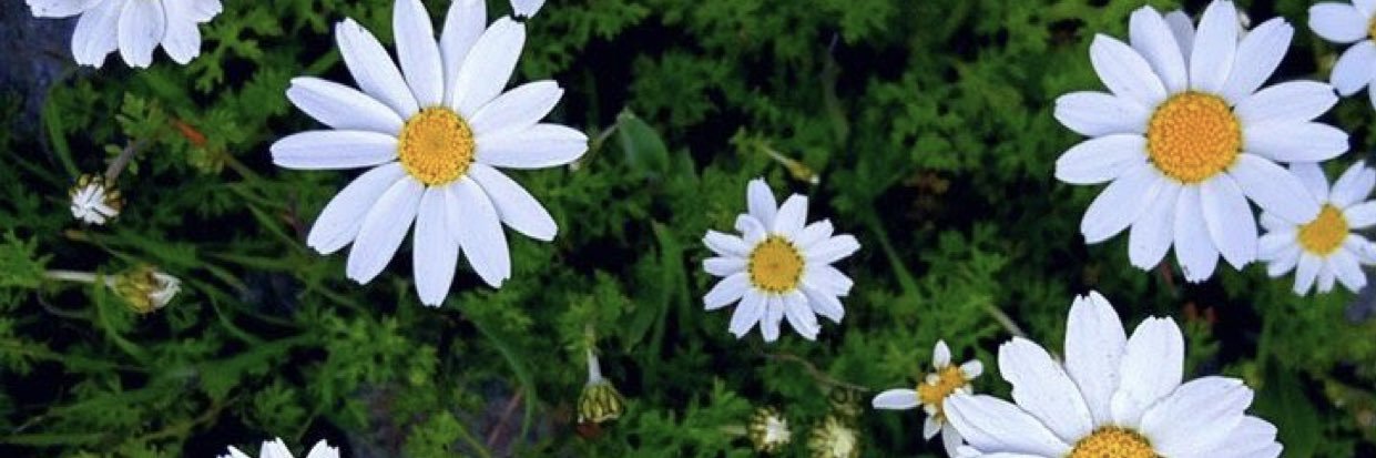 cindymoraaa's profile banner image