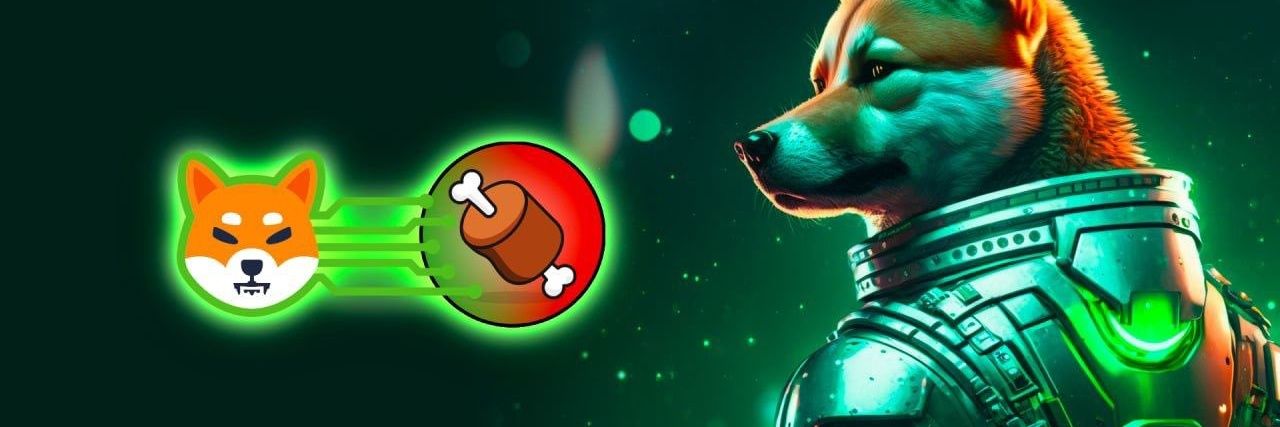 IND SHIB ARMY banner