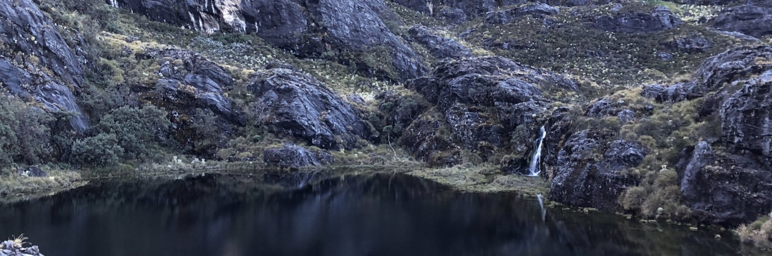 BonFacts's profile banner image