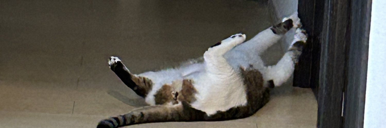 87tanDAYO's profile banner image