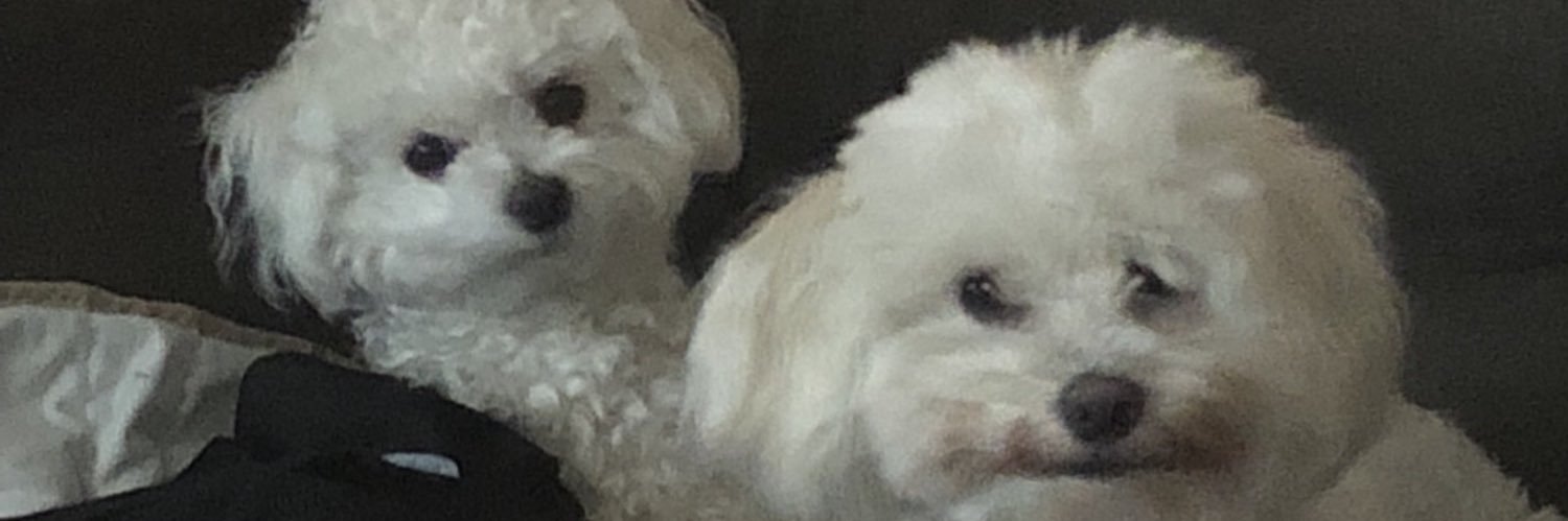 samiiiig's profile banner image