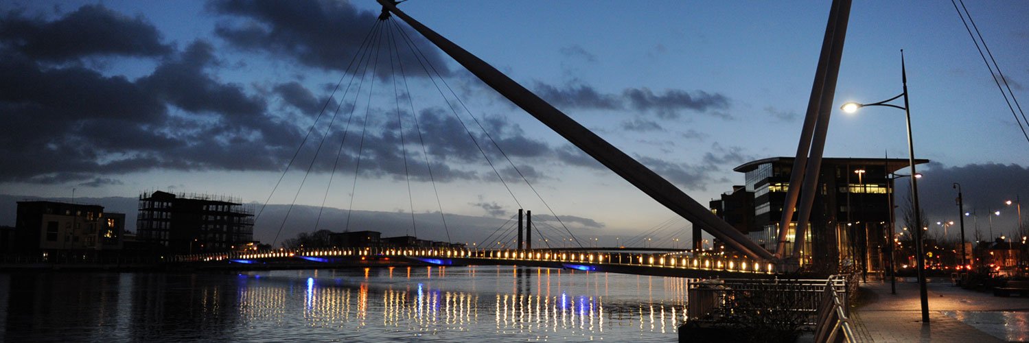 Angharad Williams banner