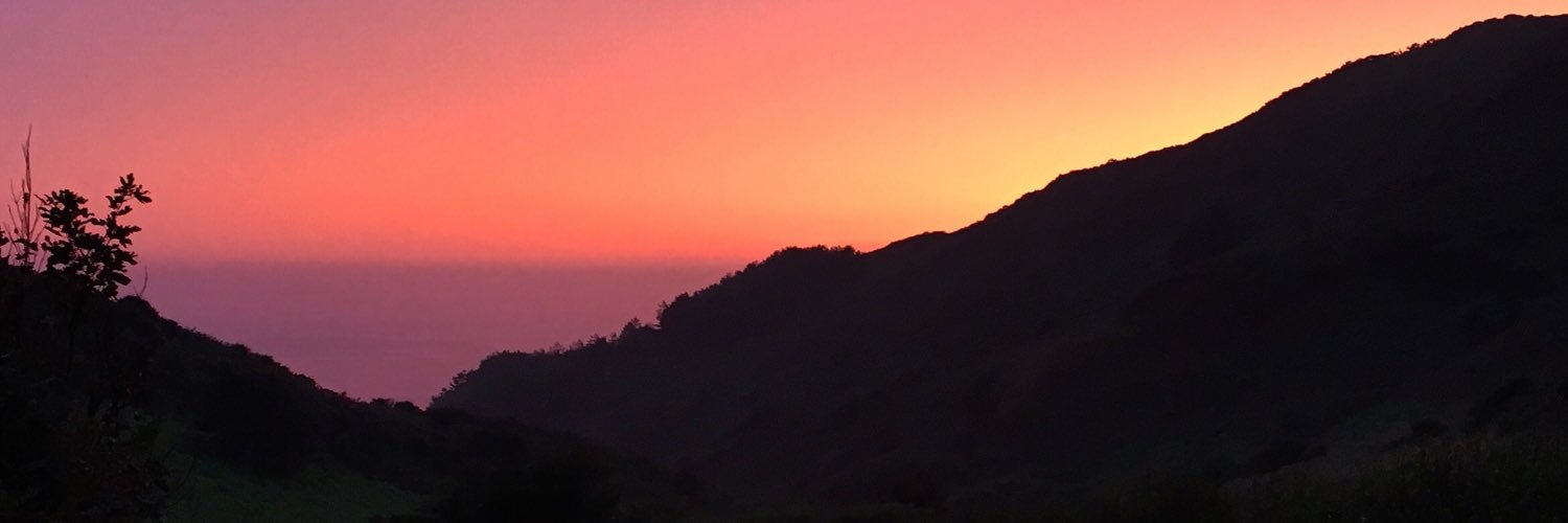 ickyslug's profile banner image