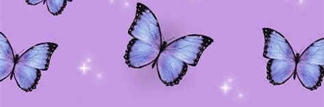 فراشه🦋 banner