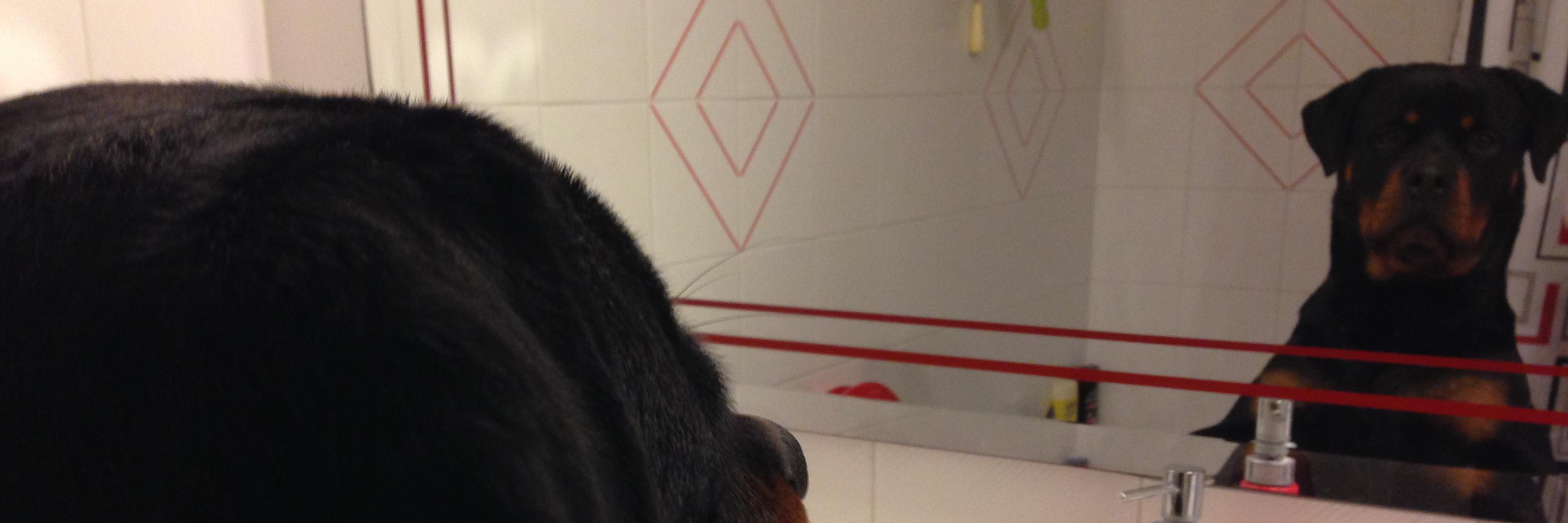 ellitsa1's profile banner image