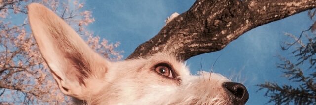 VickyIrigoitia's profile banner image