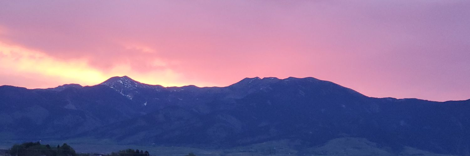 Moonlight & Lilacs🫶🫶TSX1 banner