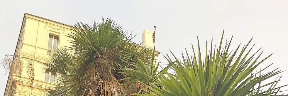 itscarly13's profile banner image