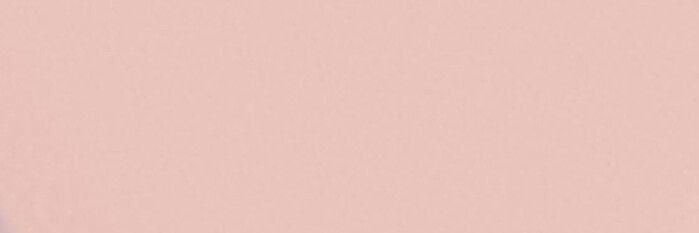 - cnpp - banner