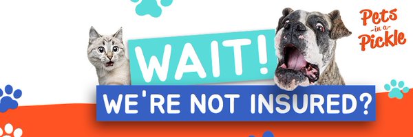 PetsInAPickle Profile Banner