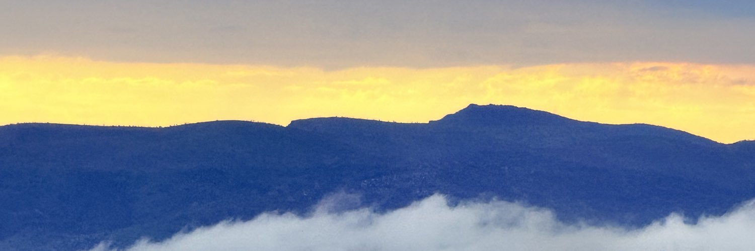_Thanoss__'s profile banner image