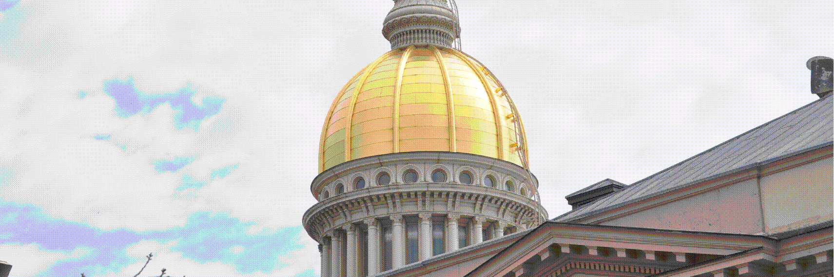 Senadores Demócratas de Nueva Jersey banner