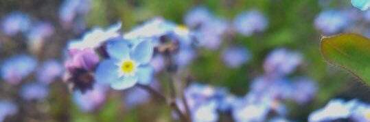 JennaGanio's profile banner image