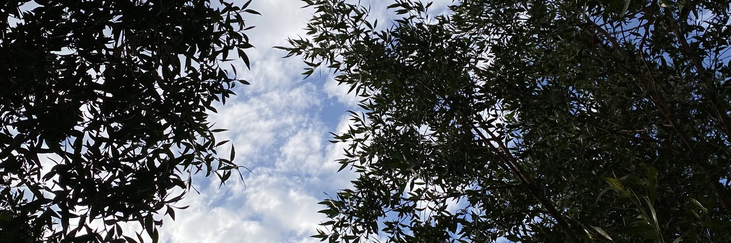 SaudiSmart's profile banner image