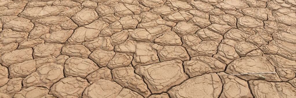 Said Al-Ismaily banner