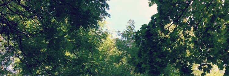 CassidylAllison's profile banner image