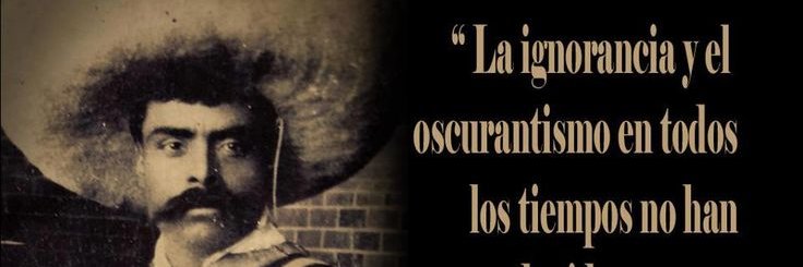 brunodominguezm's profile banner image