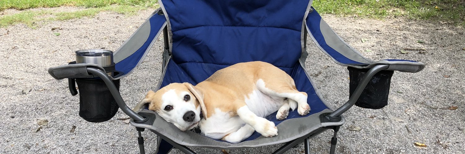 Suze, Annie, and DIPPER banner