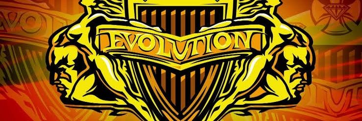 HEEL316's profile banner image