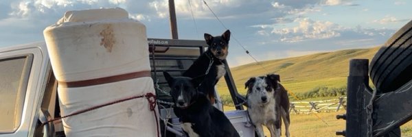 crschless Profile Banner