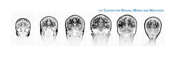 MIT_CBMM Profile Banner