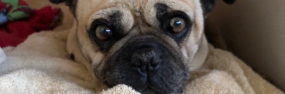 andespmor's profile banner image