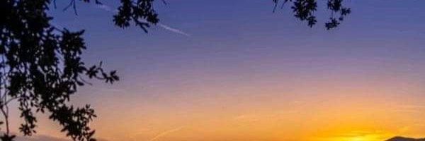 ® banner