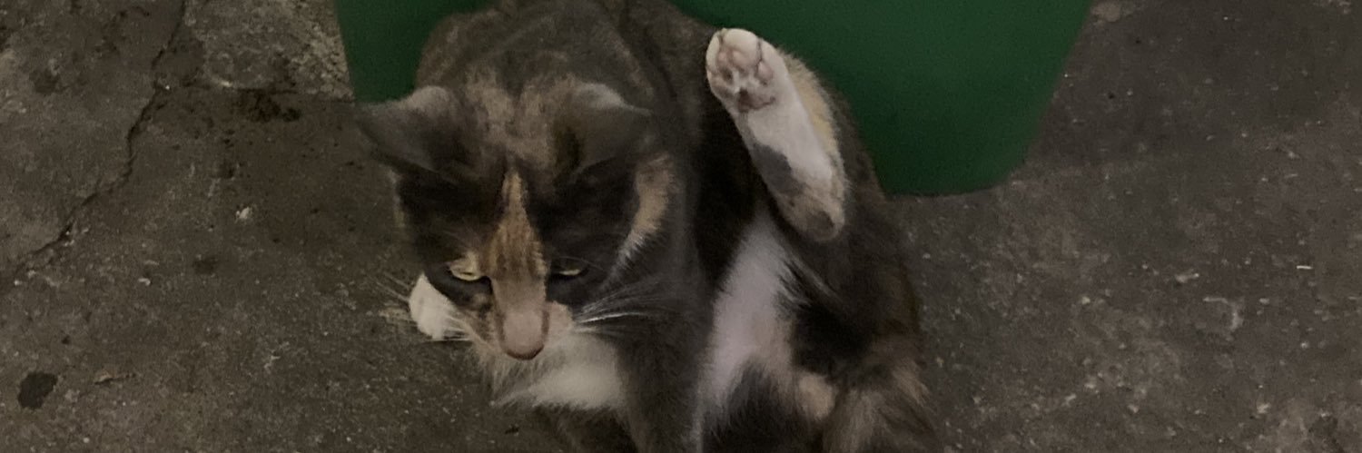 cha_smn's profile banner image
