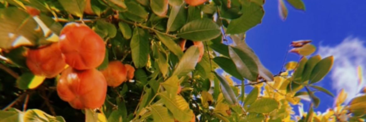 _vettmode's profile banner image