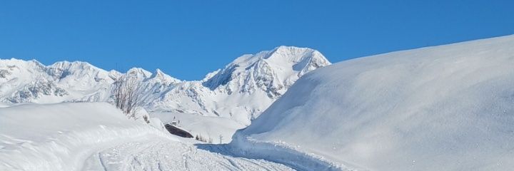 Ros Hanna banner