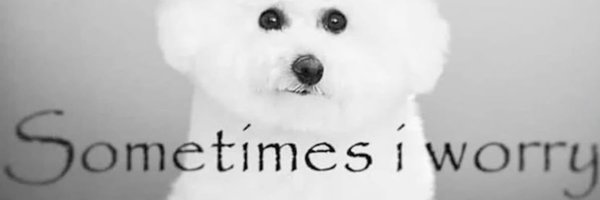 jaybaeski Profile Banner