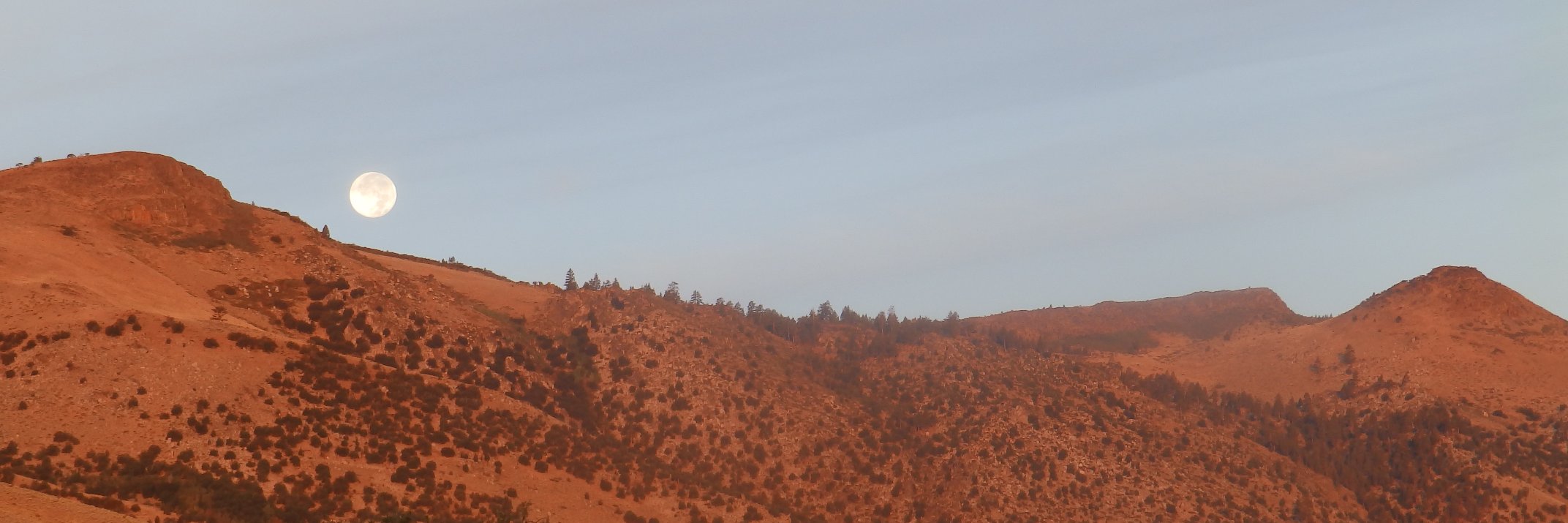 TinmanJustin's profile banner image