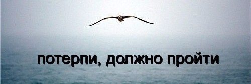 Elik0890's profile banner image
