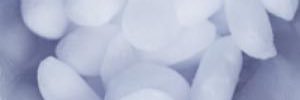 silvernitrateee's profile banner image