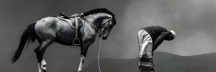 y_elwafa's profile banner image
