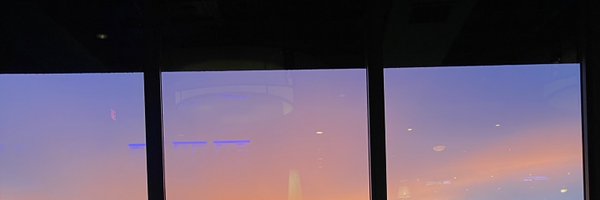 cybertesticles Profile Banner
