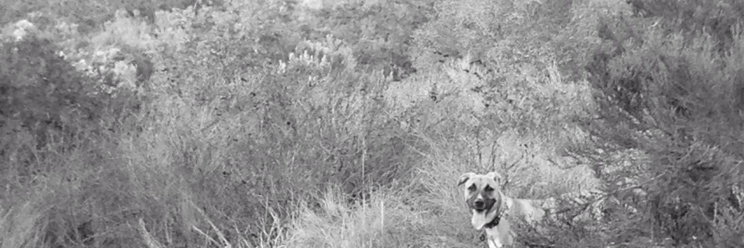 BWilliamsTeach's profile banner image