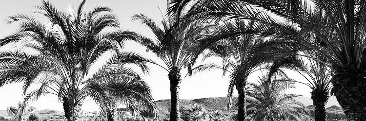 Leonie4002's profile banner image