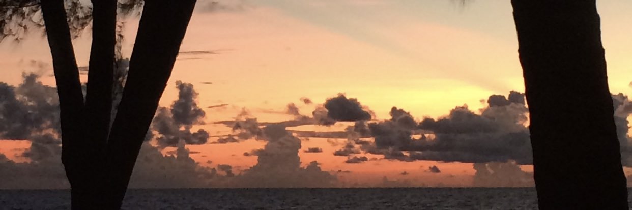 Chachadanzer's profile banner image