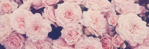 Lindsey___Lou's profile banner image
