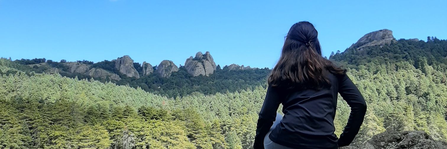 sofidiezmarina's profile banner image