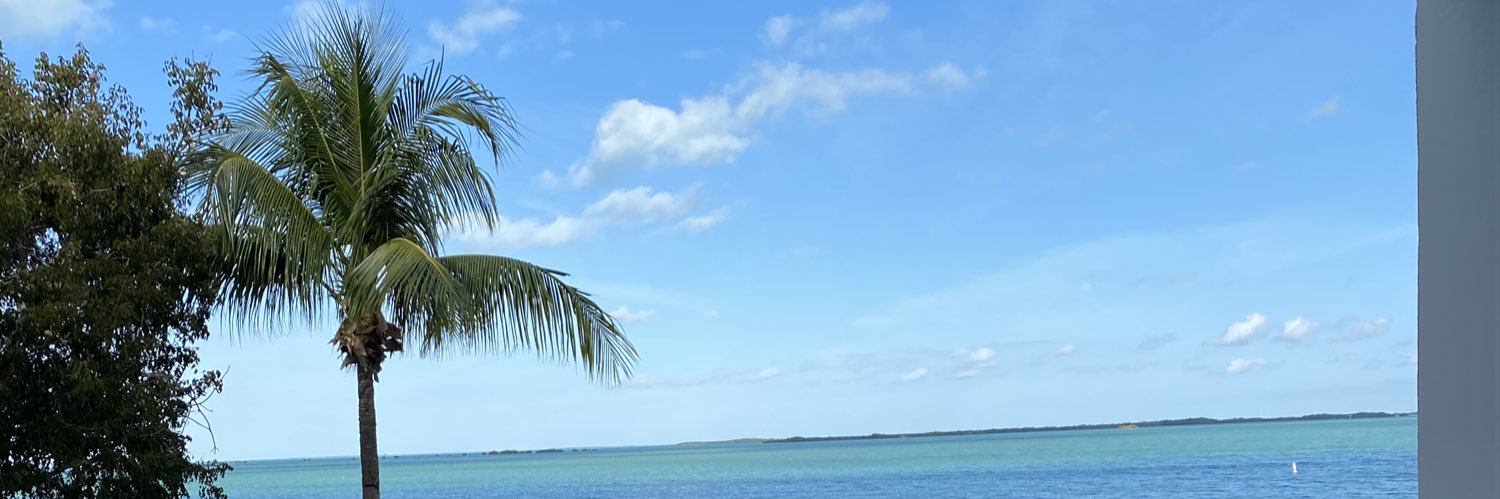rick_navarro65's profile banner image