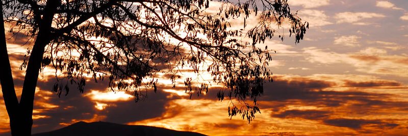 pyreneee's profile banner image