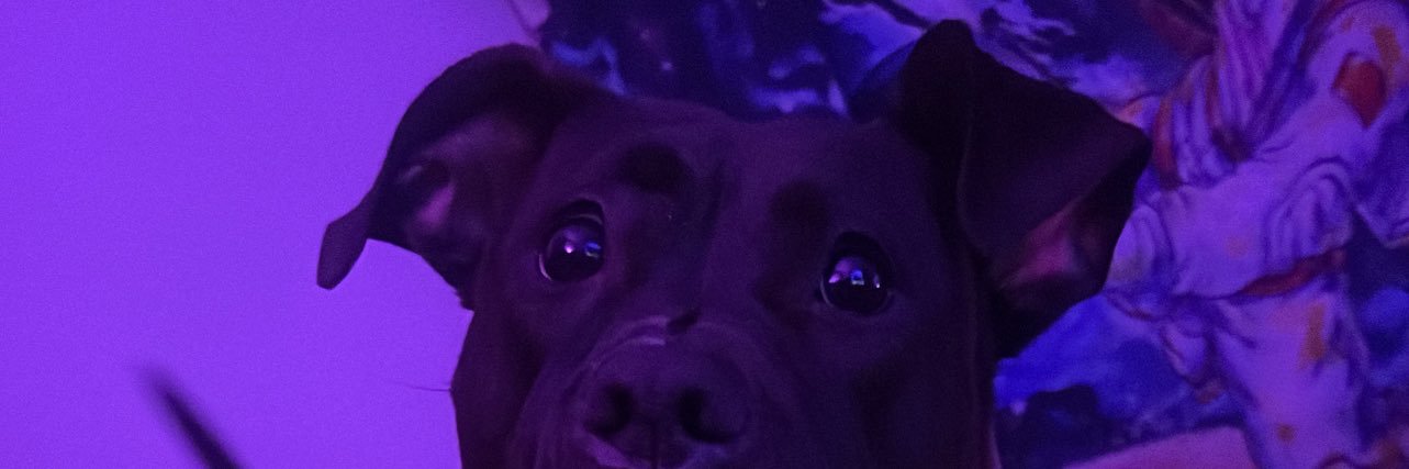 1TDJG's profile banner image