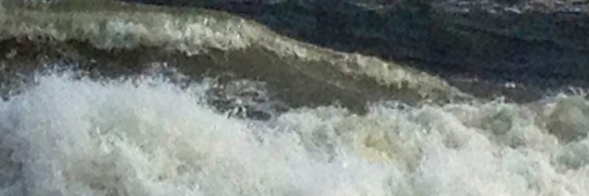 whobuddyroo's profile banner image