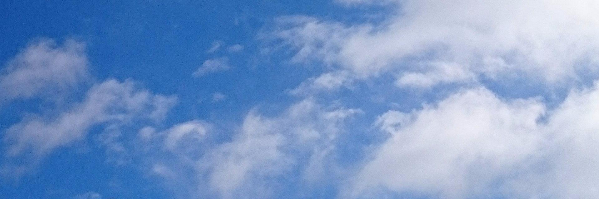 干し松茸@1113工房 banner