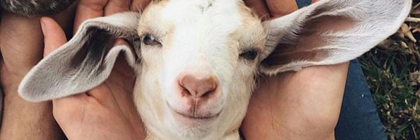 caamub's profile banner image