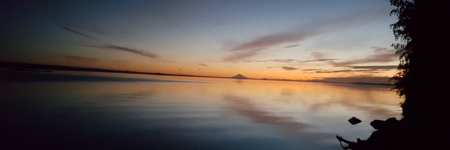 AKSonya 🇺🇸 banner