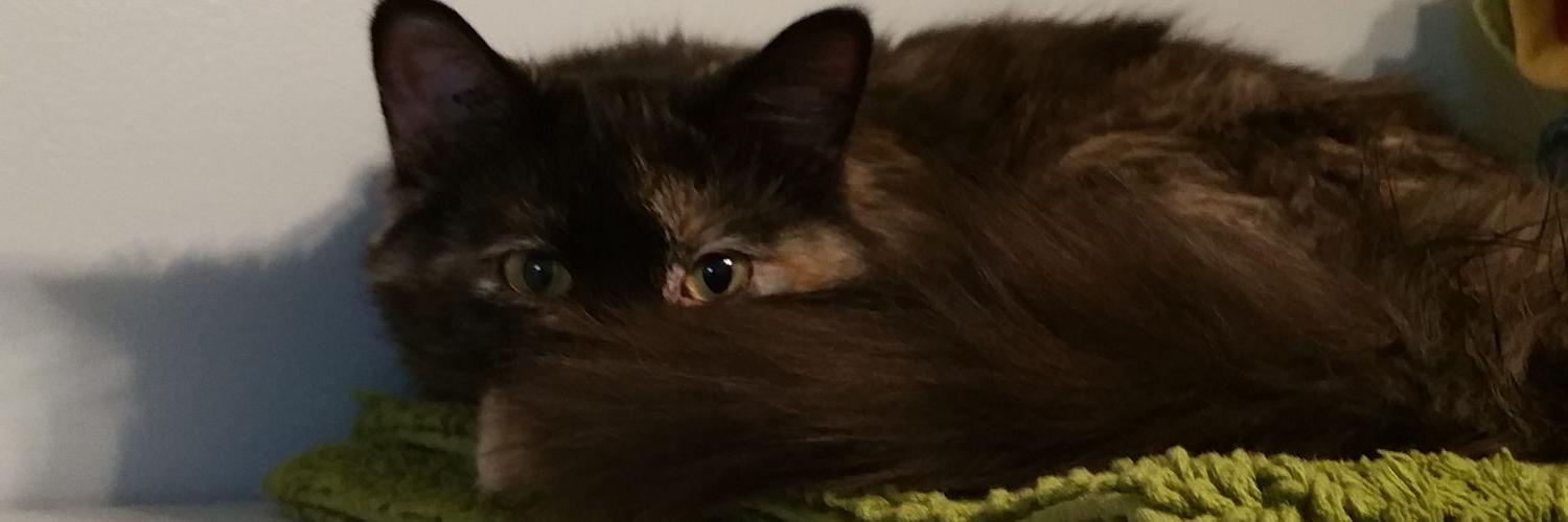 smashamer's profile banner image