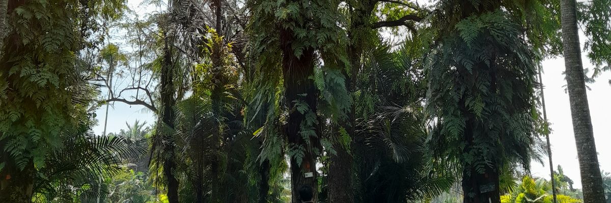 elokbashiroh's profile banner image